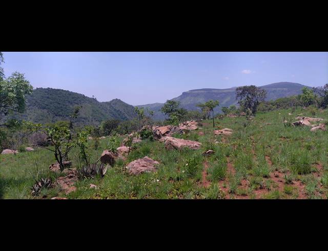 1,845HA FARM FOR SALE IN NGODWANA